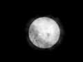 040608-256alice-tn.jpg (2382 bytes)