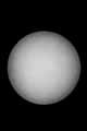 040608venustrans-e-tn.jpg (2554 bytes)