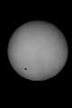 040608venustrans-g-tn.jpg (2430 bytes)